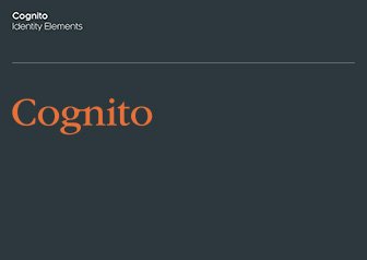 cognito_002