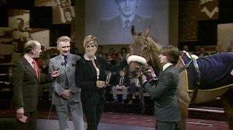 spoty13_06
